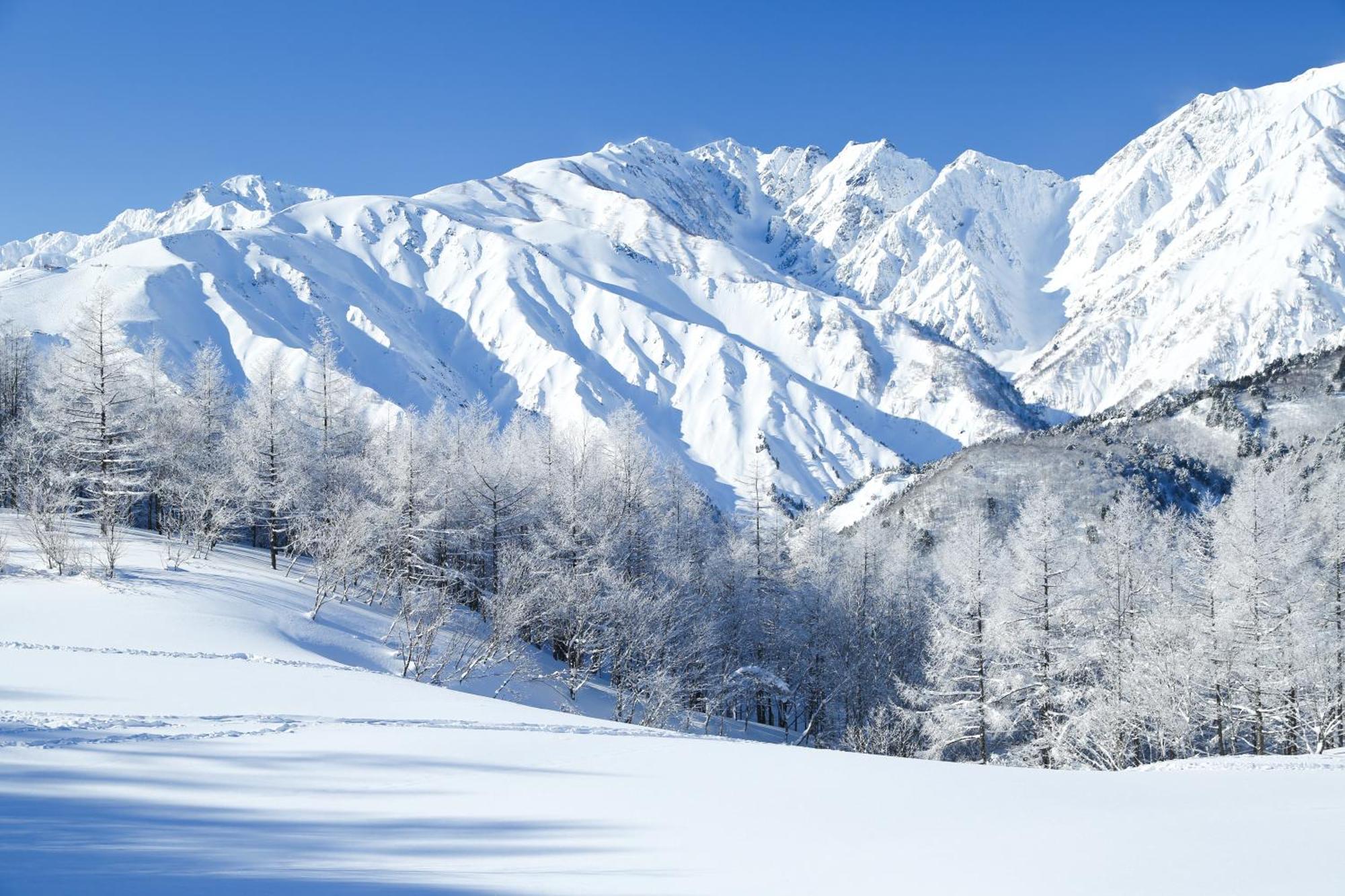Hakuba Hatago Maruhachi Экстерьер фото